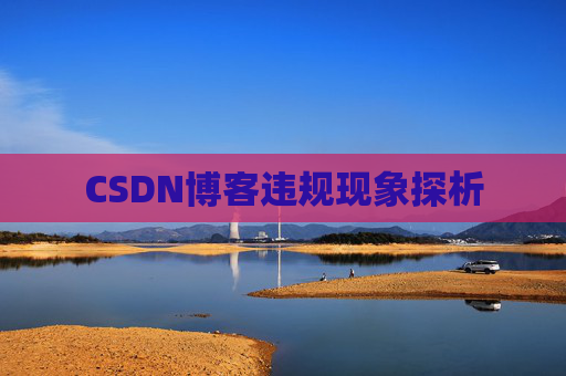 CSDN博客违规现象探析